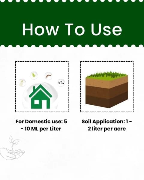 कात्यायनी मेटारहिजियम एनीसोप्लिए, (लिक्विड) जैव कीटनाशक, विभिन्न प्रकार के कीटों के लिए प्रभावी - Image 5