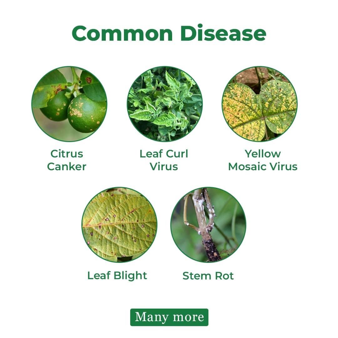 Katra Virus G Miticide - Image 4