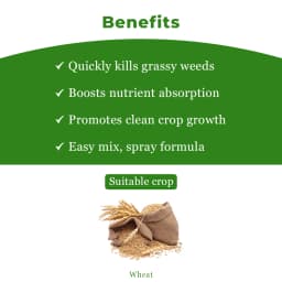 Adama Bazzal Pinoxaden 5.1% EC, Control Of Important Grass Weeds Like Phalaris Minor And Avena Ludoviciana In Wheat 4