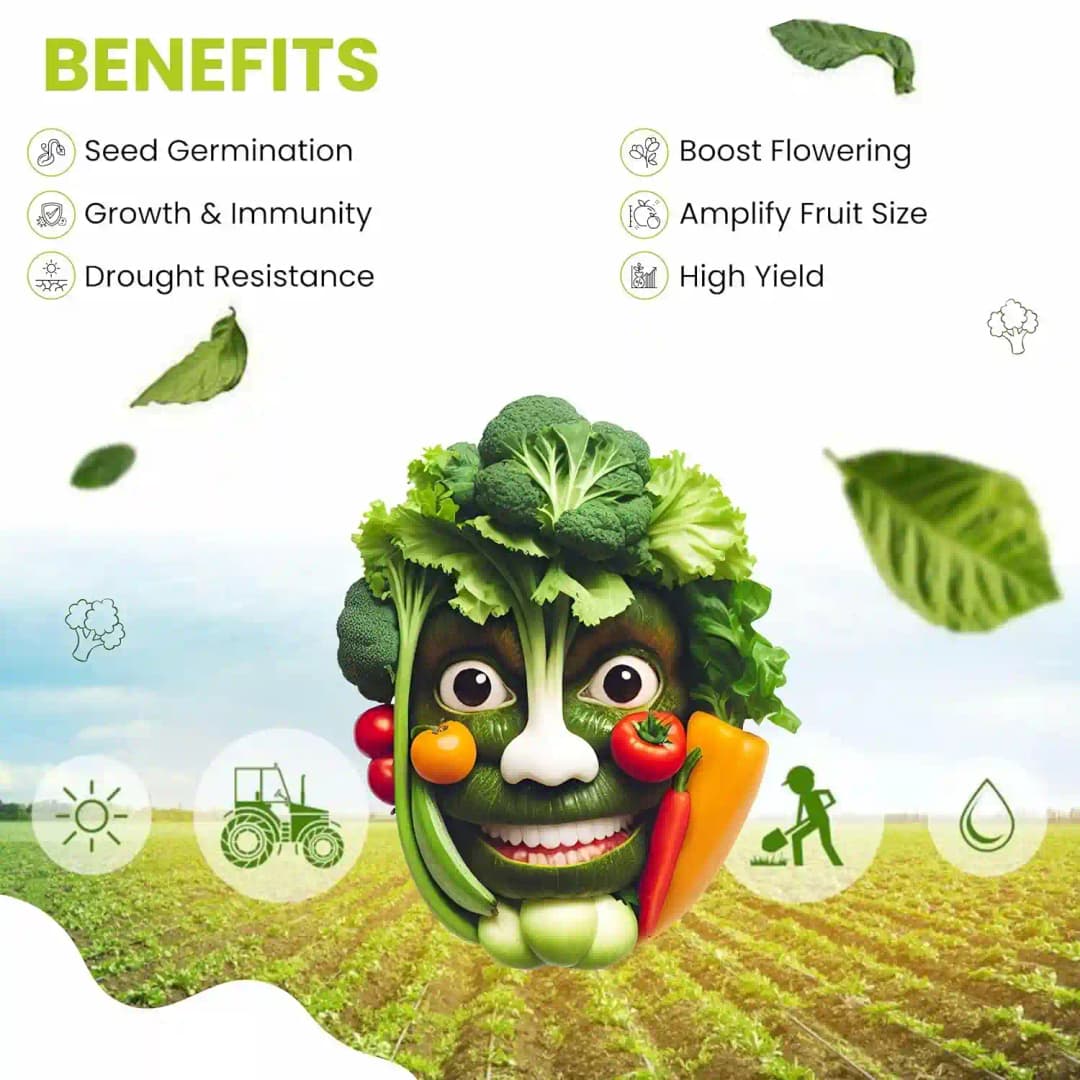 BLACK AMRUT Plant Growth Promoter, Improves The Production Of Crops, Inhibits Growth And Promotes Dormancy - Image 2