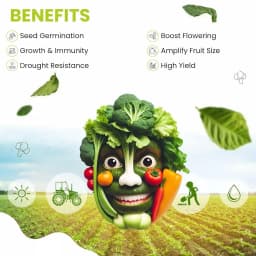 BLACK AMRUT Plant Growth Promoter, Improves The Production Of Crops, Inhibits Growth And Promotes Dormancy 2