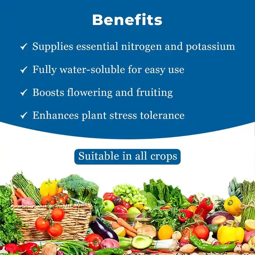 NPK 13:00:45 - Potassium Nitrate Fertilizer - Image 4