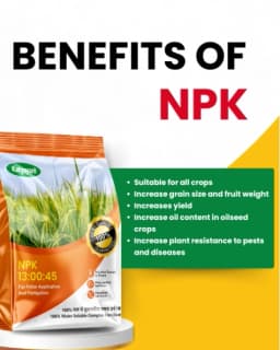 Katyayani NPK 13:00:45 Potassium Nitrate, 100% Water Soluble Fertilizer For Foliar & Fertigation 3