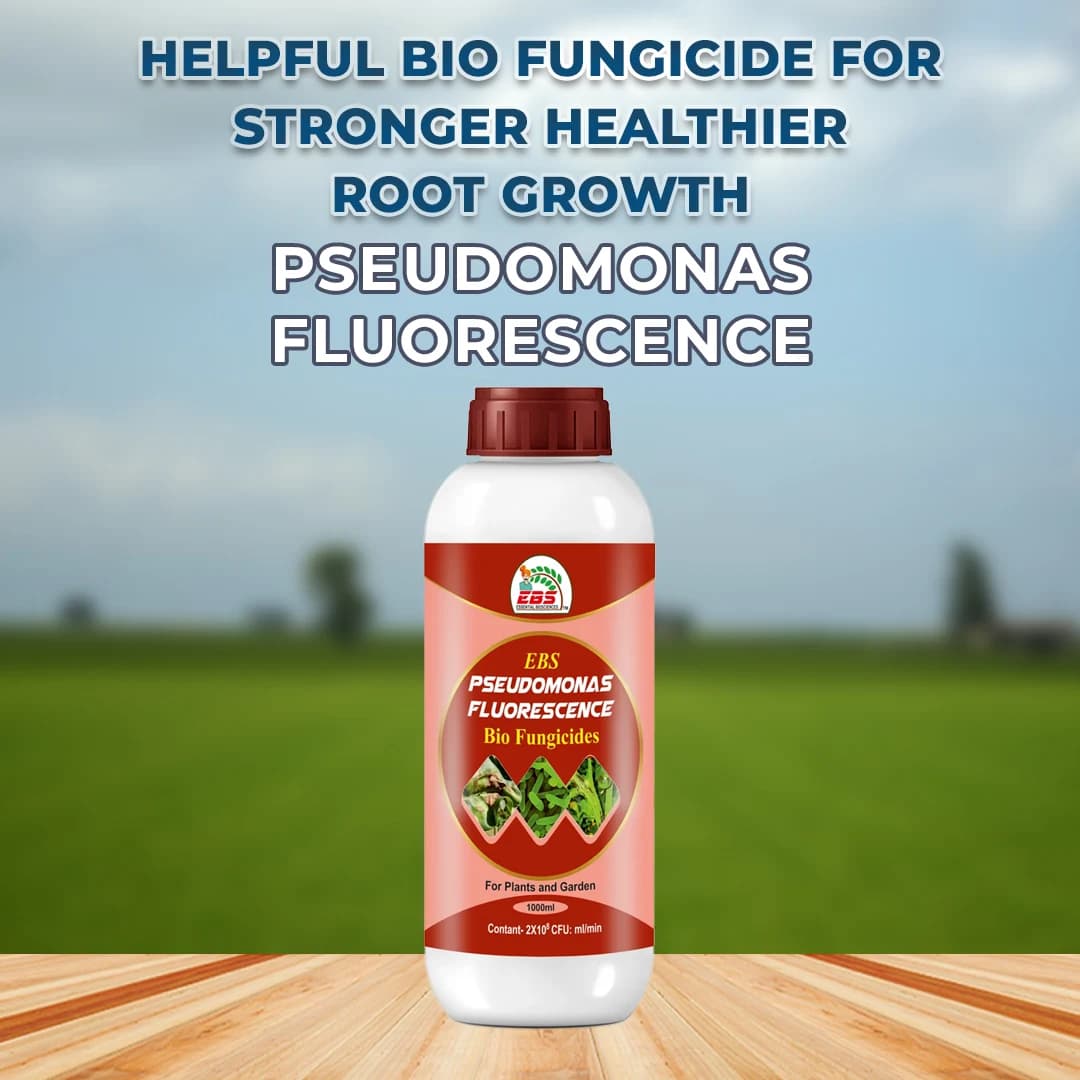 EBS Pseudomonas Fluorescence Bio Fungicide, Controlling Diseases Like Root Rot, Stem Rot, Collar Rot On All Crops - Image 3