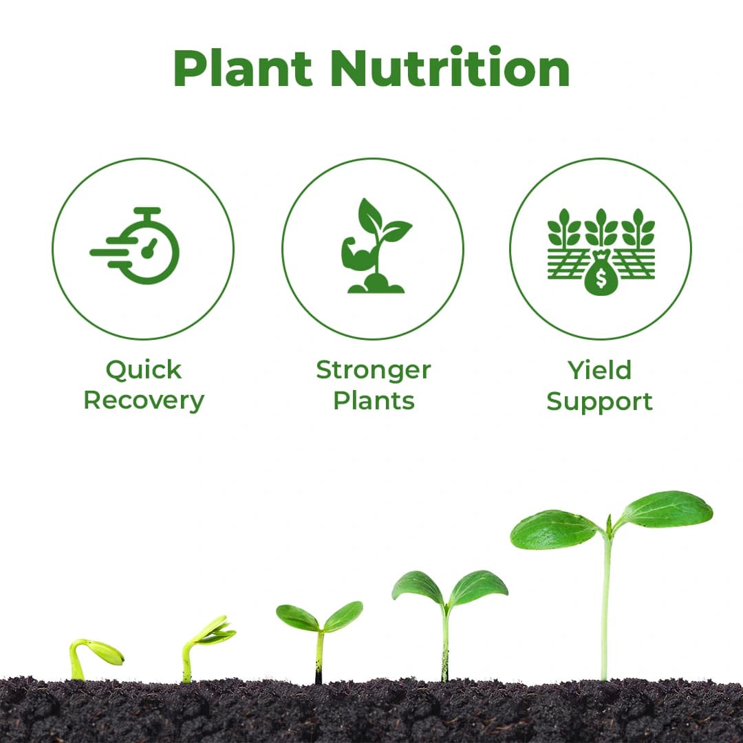 Amino Pearl- L40 - Fish Amino Acid Fertilizer - Image 3