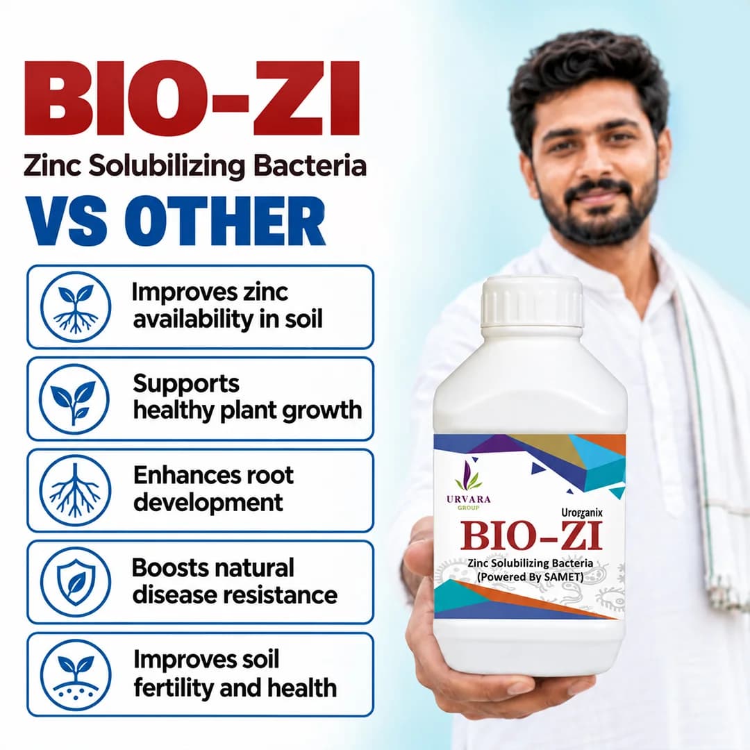 Biozi - Zinc Solubilising Bacteria for Zinc mobilization in the soil for easy absorption of zinc byroots from the soil - Image 3