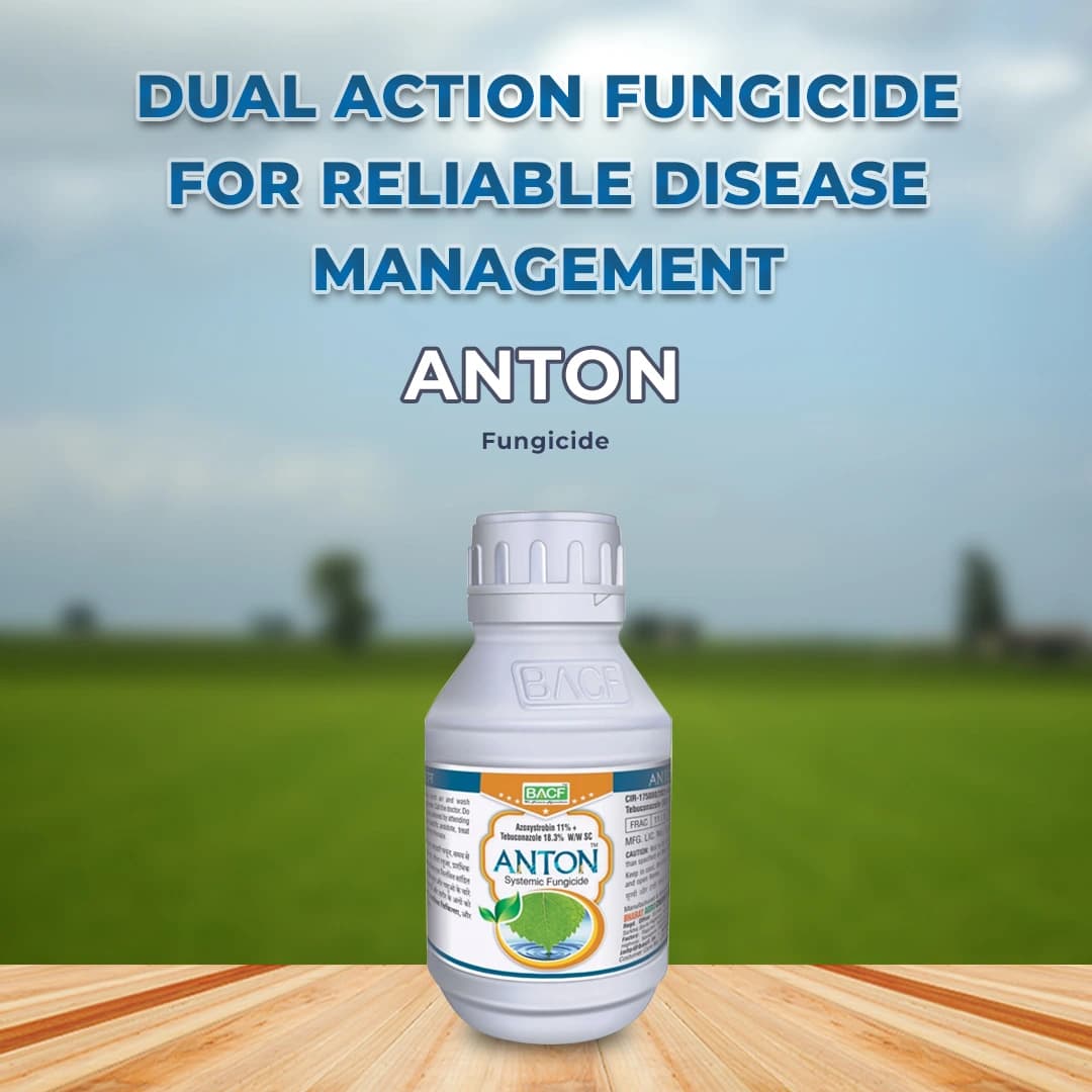 BACF Anton Fungicide - Image 2