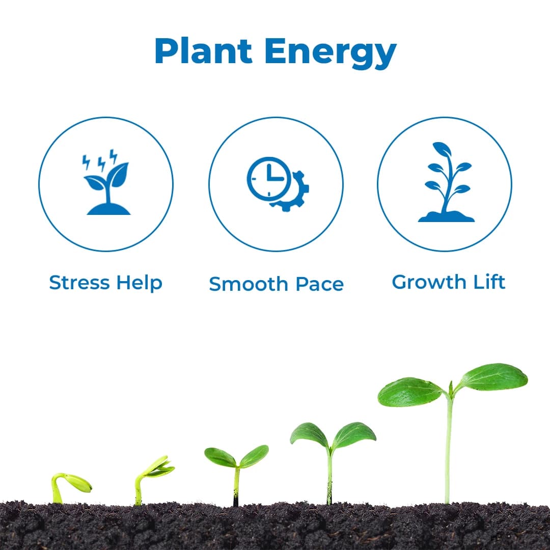 आनंद एग्रो इंस्टा बायोन - अमीनो एसिड और पेप्टाइड आधारित मिश्रण, वृद्धि को बढ़ाने में मदद करता है। - Image 3
