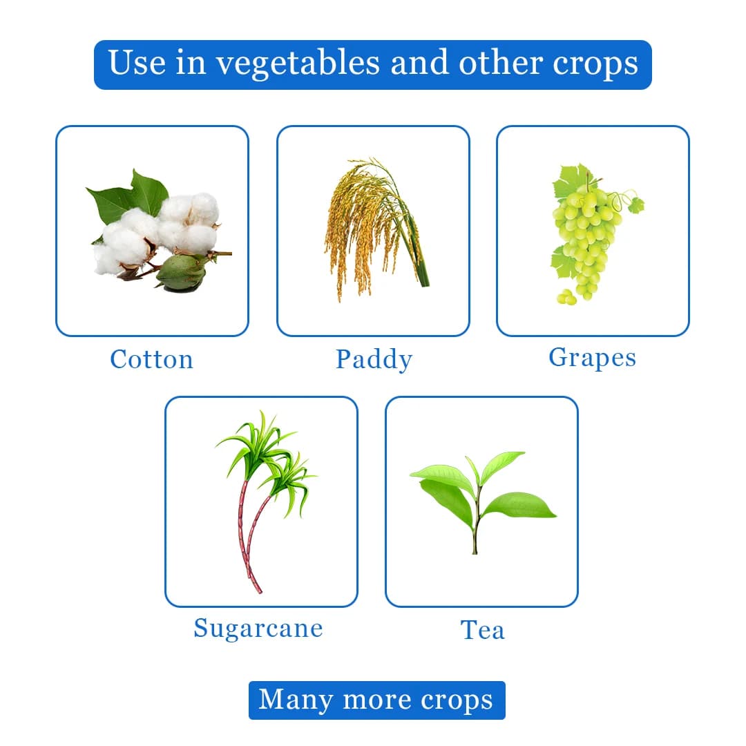 Sumitomo Dantotsu Insecticide - Image 4