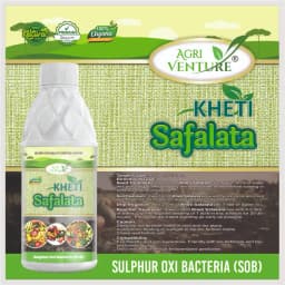 Agriventure Kheti Safalata (Sob - Sulphur Oxi Bacteria) Improves Soil Fertility Bactericide Organic Product Bio Fertilizer 4