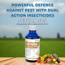 Seturn 505 - Chlorpyriphos 50% + Cypermethrin 5% EC Insecticide With Contact and Systemic Action 2