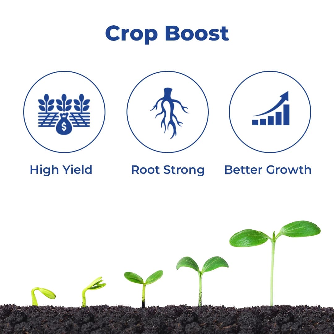 Aries Fertimax 13:00:45 Designed For Optimal Plant Nutrition High Quality Source of Potassium and Nitrogen - Image 3