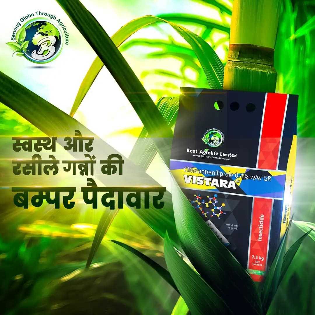 Best Agrolife VISTARA Chlorantraniliprole 0.4% GR Insecticide, Effective For Borer Control In Rice And Sugarcane - Image 2