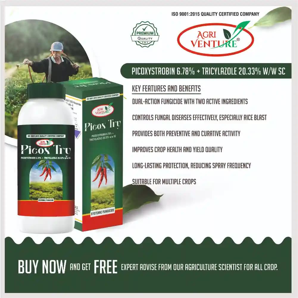 Agriventure Picox Try Picoxystrobin 6.78% + Tricyclazole 20.33% SC Fungicide - Image 3