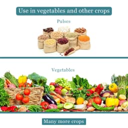 Emoxam - Emamectin Benzoate 3% + Thiamethoxam 12% WG, Powder Insecticide for Plants. 4