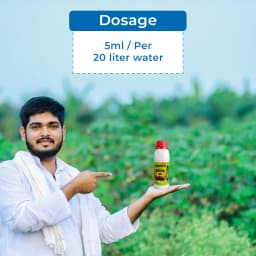 टुबोरा - पौधों और पत्तियों की बेहतर रोग प्रतिकारक क्षमता के लिए फुलविक मिनरल और पोषक तत्व 5