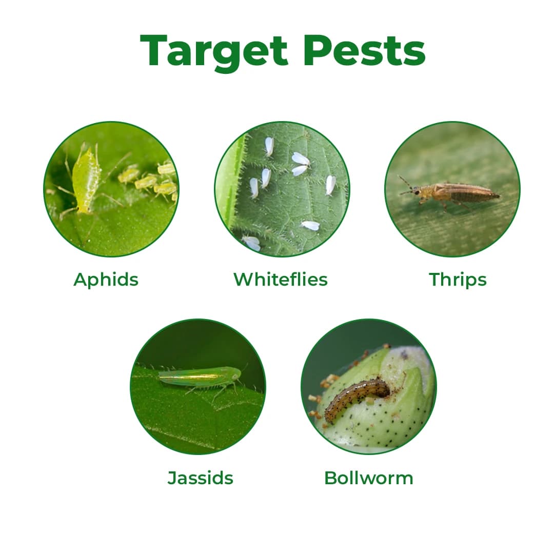 Dr. Anand Neem, 3000 PPM Neem Oil, Use To Improve Resistance In Plants , Useful For all Crops Plain Neem oil - Image 3