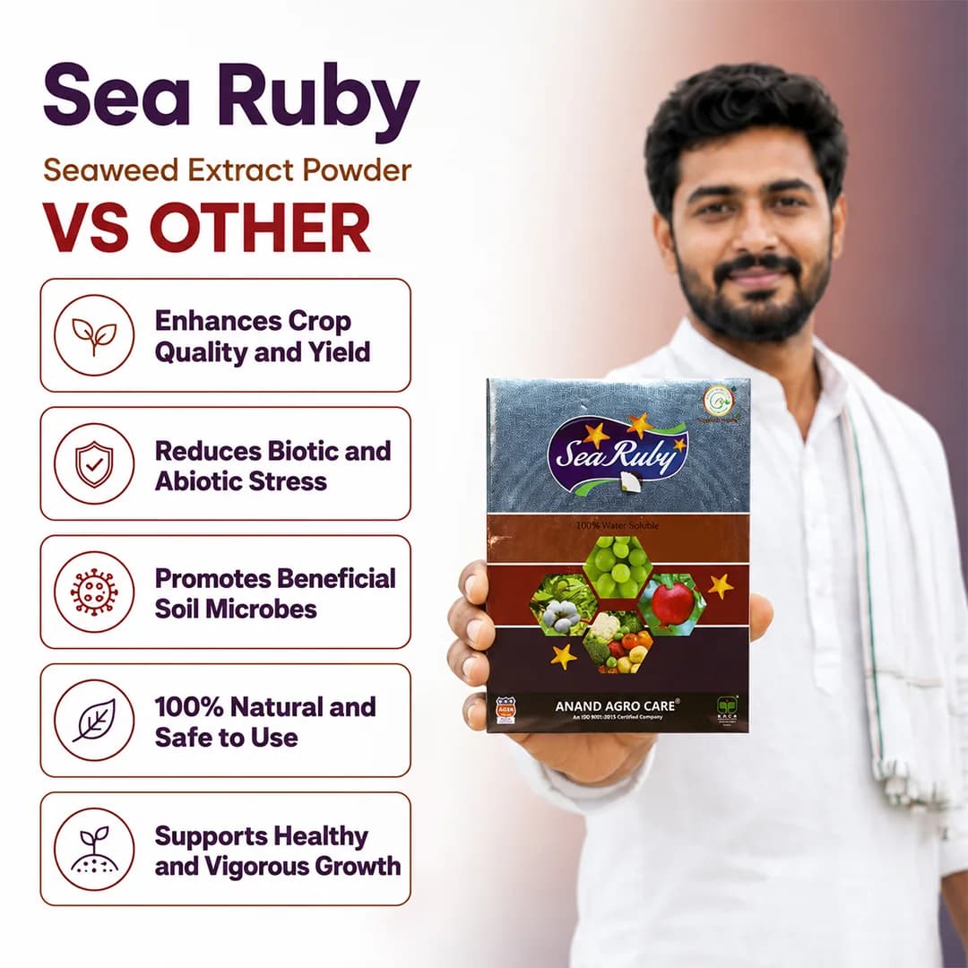 Anand Sea Ruby (Powder), 100% Water Soluble Naturally Derived Green Seaweed Extract, Enhances Yield And Marketable Quality - Image 7