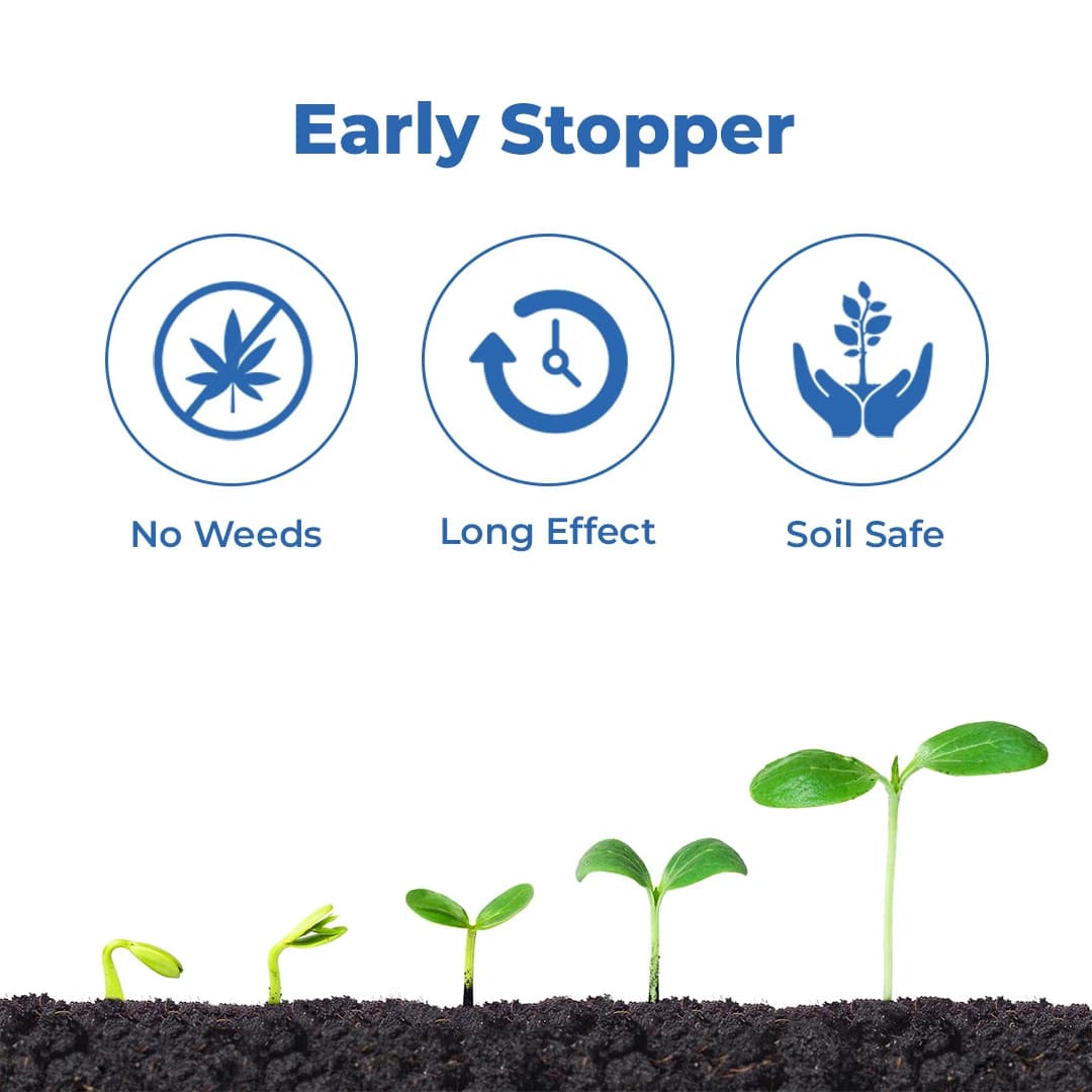 एडामा फ्लेमबर्जे, अमिनो ऐसिड्स और पेप्टाइड्स पर आधारित एक प्राकृतिक बायो-स्टिमुलेंट - Image 3