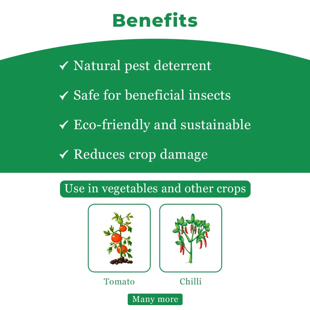 Damman Bio-R303 is a Liquid Fertilizer, Helps in Increasing Flowering, Photosynthesis and Over all Plant Growth, Used in Chilli and Tomato - Image 4