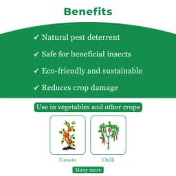 Damman Bio-R303 is a Liquid Fertilizer, Helps in Increasing Flowering, Photosynthesis and Over all Plant Growth, Used in Chilli and Tomato 4