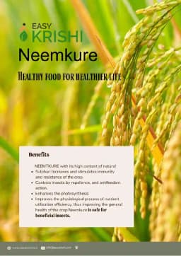 Easykrishi Neemkure Broad Spectrum Organic Pesticides For All Crops (Pellets Farm) 5