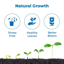 T.stanes Modulin Foliar Bio Stimulant, Organic Mineral Activators, Promote Plant Metabolic Activities for An Increase Number of Flowers and Growth 3