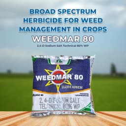 Dhanuka Weedmar 80 2, 4-D Sodium Salt Technical 80% WP Herbicide, Effective Control Weed In Multiple Crops 2