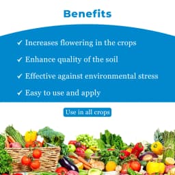 Pellot - Paclobutrazol 23% SC Plant Growth Regulator, Ideal for Mango and Other Major Vegetable Crops 4