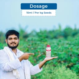 Swal Cascade Azoxystrobin 2.5% + Thiophanate Methyl 11.25% + Thiamethoxam 25% FS Fungicide, Dual Protection Against Fungal Diseases and Insect Pests 5