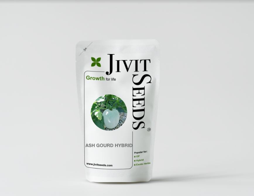 Jivit JS 201 F1 Hybrid Ash Gourd Seeds, Warm Season Crop, Oblongish Fruits
