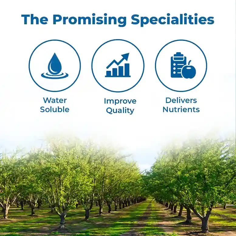 डॉ. सॉइल सुपारी (लिक्विड कंसोर्टिया) (आईएसओ प्रमाणित) (डॉ. सॉइल सुपारी स्पेशल) लिक्विड उर्वरक, विशेष रूप से सुपारी के पौधों के लिए। - Image 3