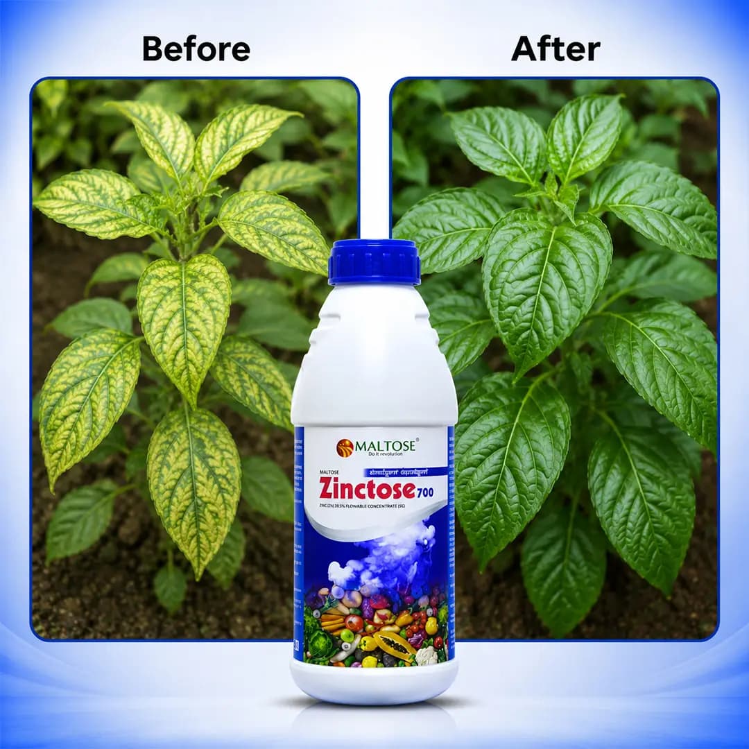 Zinctose 700 Liquid Micronutrient Fertilizer - Prevents Zinc Deficiencies In Crops - Image 2