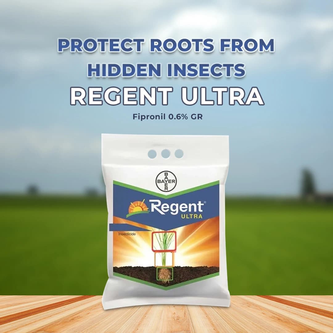 Bayer Regent Ultra Insecticide Fipronil 0.6% GR, Can Be Used At Any Stage Of The Crop. - Image 2