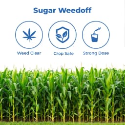 FMC Gilardo (30ml) + Etre (500gm) Topramezone 336 gl Herbicide, Effectively Control Broad Leaf Narrow Leaf Weeds In Maize Crop 3