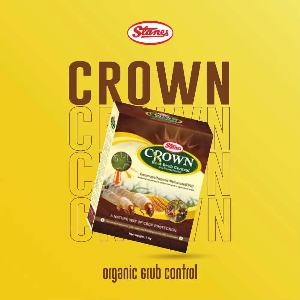 T. Stanes CROWN Nematode Insecticide, Heterorhabditis Indica with Effective Root Grub Control In Crops - Image 5