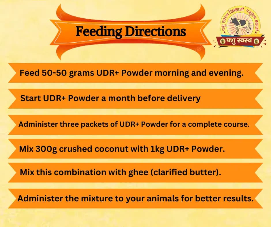 PASHU SVASTH UDR+ POWDER, Herbal Udder (Levity, Thun) Milk Enhancer For Cows And Buffaloes - Image 5