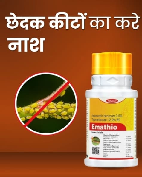 Katyayani Emathio Insecticide - Image 6