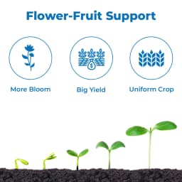 FMC Picxel Biostimulant 22% Organic Acid, Patented Reactive Carbon Technology Based Biostimulant 3