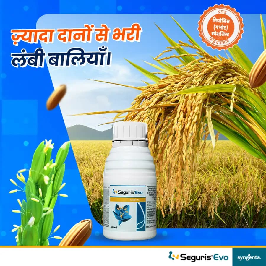 Syngenta Seguris Evo Fungicide - Image 2