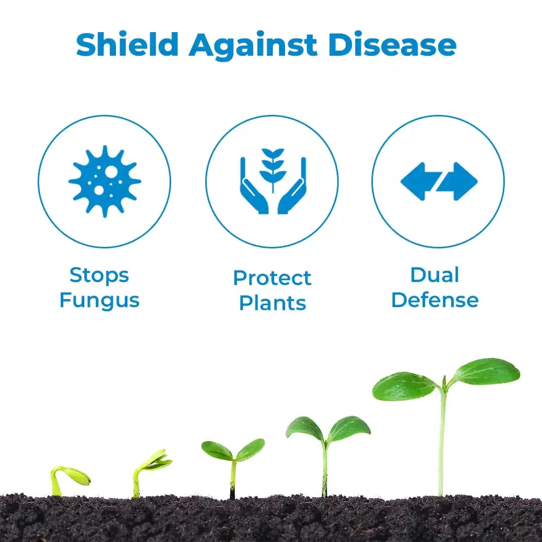 Adama Shamir Tebuconazole 6.7% + Captan 26.9% SC, Contact Fungicide, Excellent Protection Against Apple Scab - Image 3