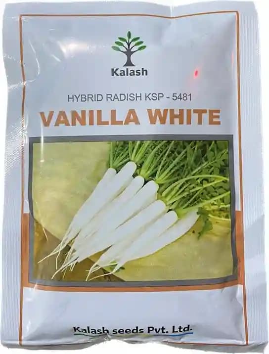 Kalash F1 Hybrid Vanilla White KSP 5481 Radish Seeds, Suitable For Winter Season