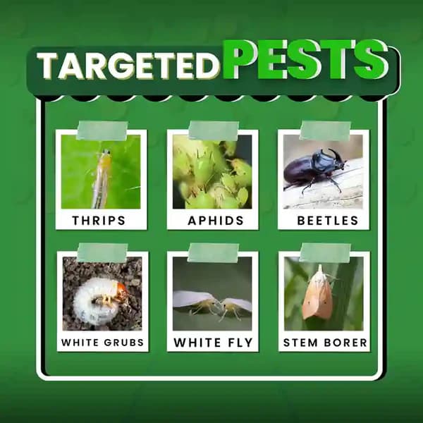 Katyayani Nashak Fipronil 40 % + Imidacloprid 40 % WG Unique Insecticide Control White Grub Sucking Pests Aphids - Image 2