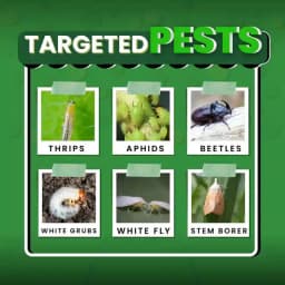 Katyayani Nashak Fipronil 40 % + Imidacloprid 40 % WG Unique Insecticide Control White Grub Sucking Pests Aphids 2