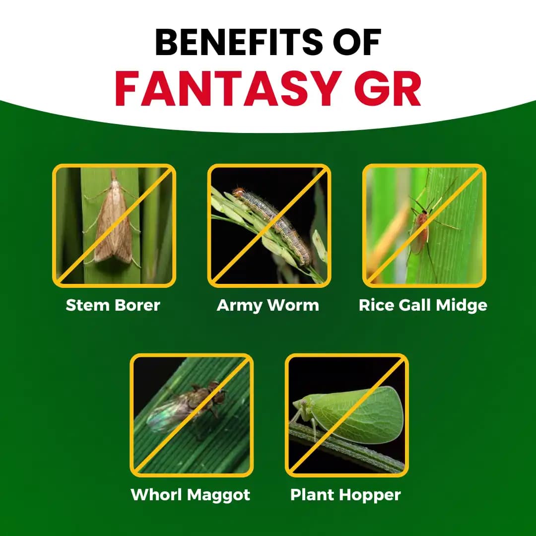 Katyayani Fantasy G.R. Fipronil 0.3% GR Insecticide, Advanced For Effective Pest Control and Crop Protection - Image 3