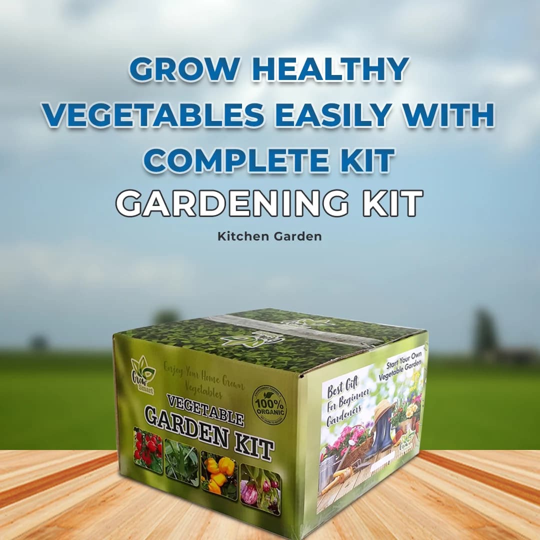 Pioneer VEGETABLE GARDENING KIT, Kitchen Garden Kit Perfect choice for Beginners with All Accessories - Image 2
