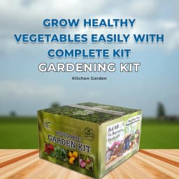 Pioneer VEGETABLE GARDENING KIT, Kitchen Garden Kit Perfect choice for Beginners with All Accessories 2