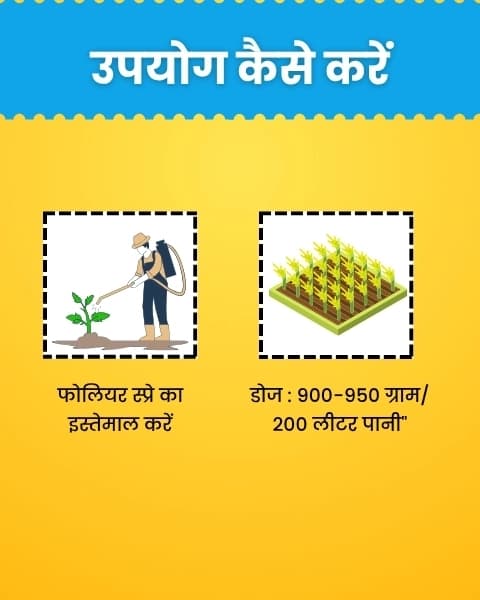 Katyayani K-Bordeaux Mixture Fungicide, Effectively Prevents Fungal Diseases. - Image 9