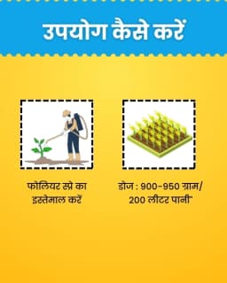 Katyayani K-Bordeaux Mixture Fungicide, Effectively Prevents Fungal Diseases. 9