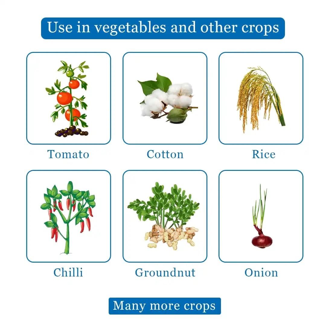 Bayer Decis Insecticide - Image 4
